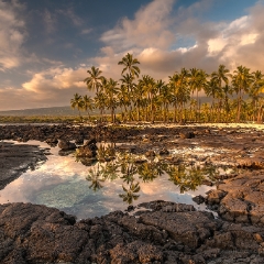 Place of Refuge Beach Reflection Hawaii.jpg