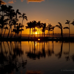 Sunset Hawaii To order a print please email me at  Mike Reid Photography : aloe, hawaii, hawaiin, big island, plants, Zeiss Flowersfloral, plumeria, orchids, gecko, beach, hawaiian botanical gardens