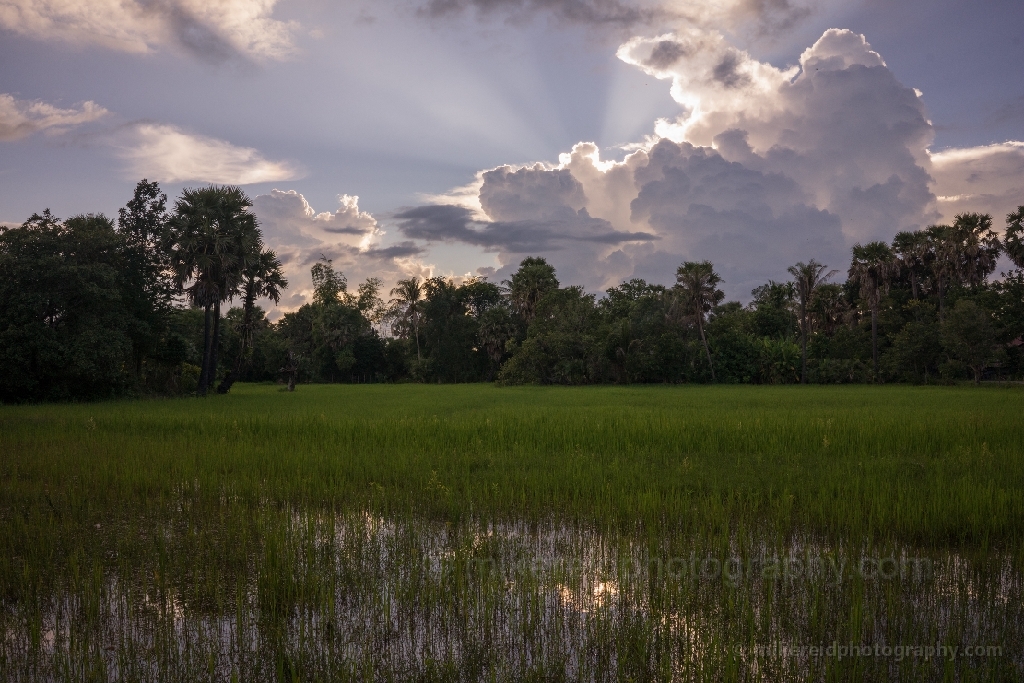 Cambodia Rice Fields Cloudscape