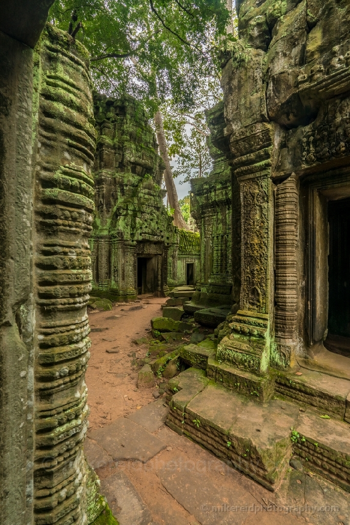 Cambodia Ta Phrom Temple Ruins