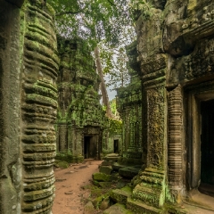 Cambodia Ta Phrom Temple Ruins To order a print please email me at  Mike Reid Photography