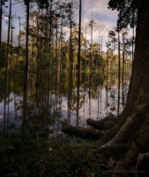 Cambodia Angkor Thom Water