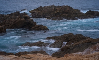 California Coast Photography Waves and a Gull