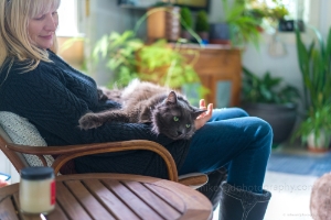 Smokey the Lap Cat