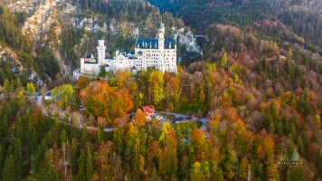 Aerial Castle Neuschwanstein Fall Colors Sunlit 4