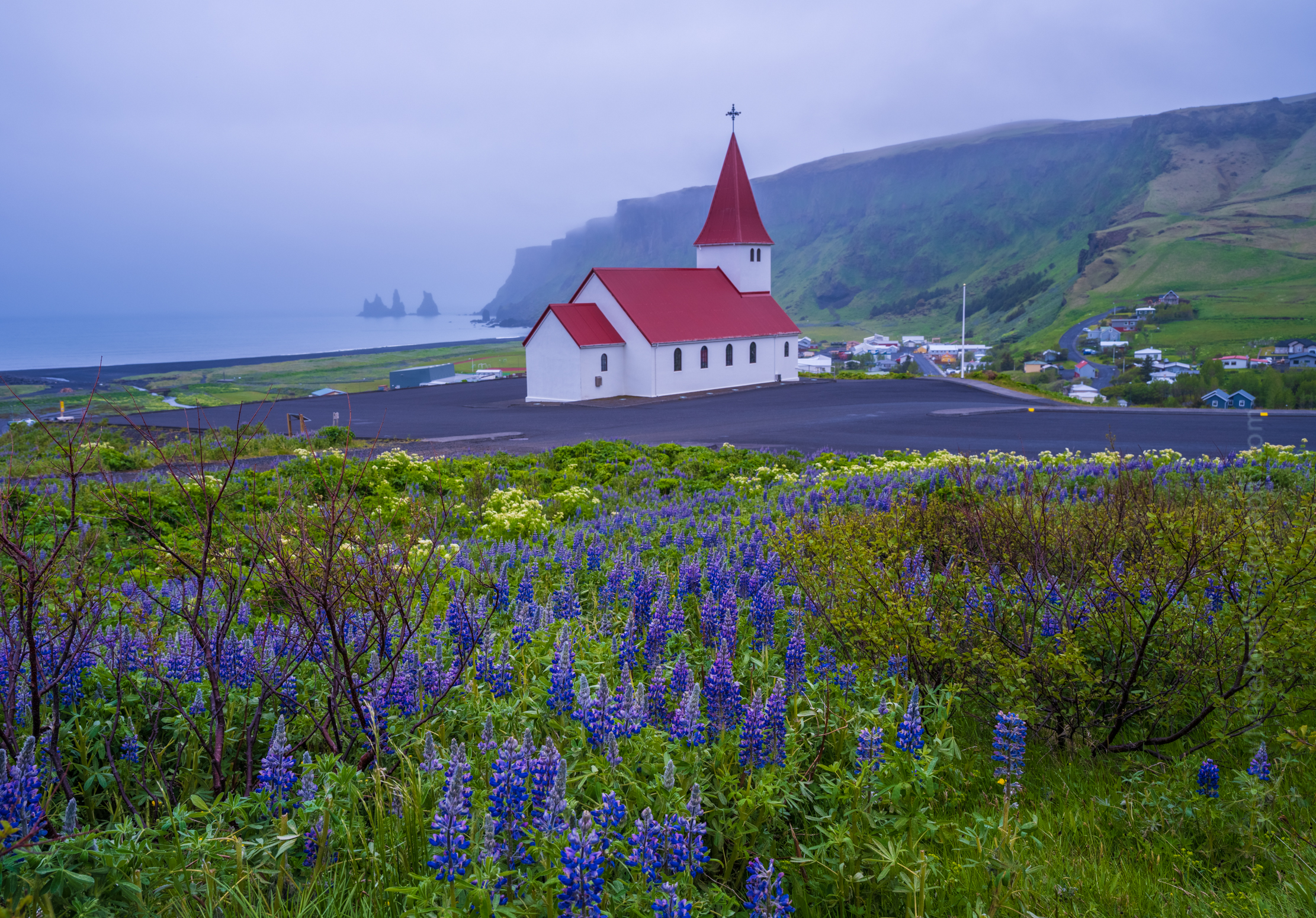 Iceland Vik Church and Lupine.jpg 