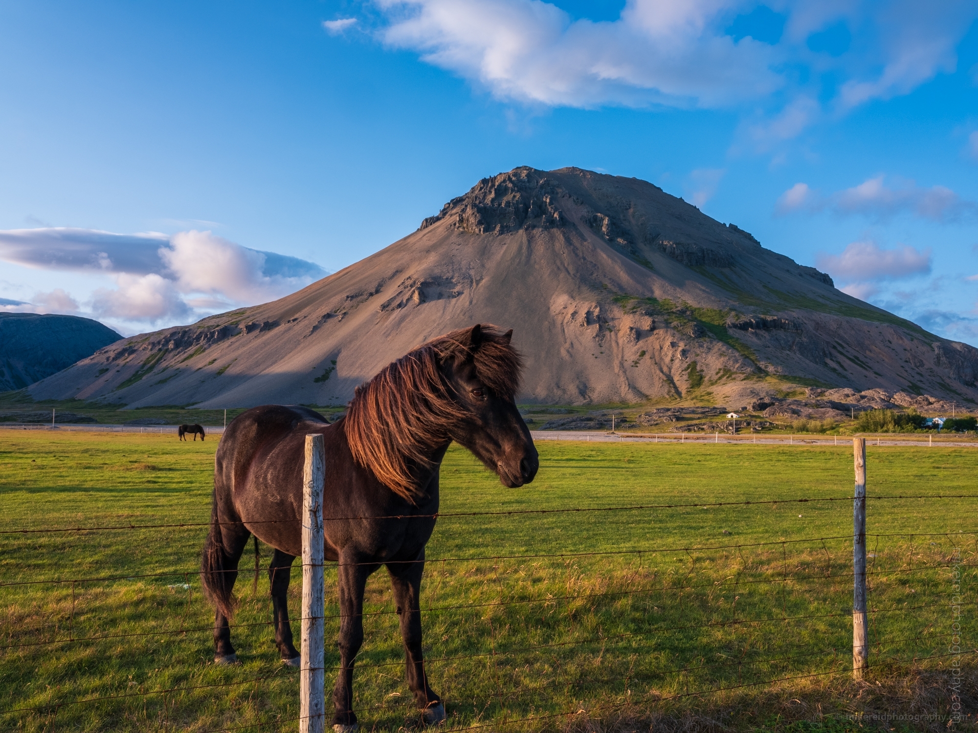 Iceland Horse Closeup GFX50s.jpg Honestly this trip changed my life....crazy as that sounds. I did the Everest base camp trek in Feb and Banff in June and they paled in comparison. The thing about Iceland is sometimes we shooters go on trips and feel pressure to get great shots. But Iceland is so awesome that the amazing shots just keep throwing themselves at you. Its just relentless. At some point I just relaxed and took it all in. 7 trips later, I can't wait to go back this year. Please contact me for your own Iceland Photography tour. #iceland