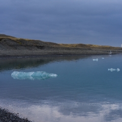 Iceland Jokulsarlon Solitude.jpg