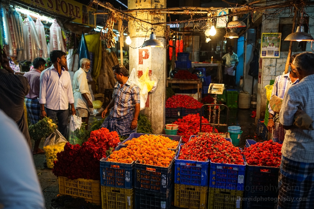 Chennai Flower Market Koyambedu Stall 