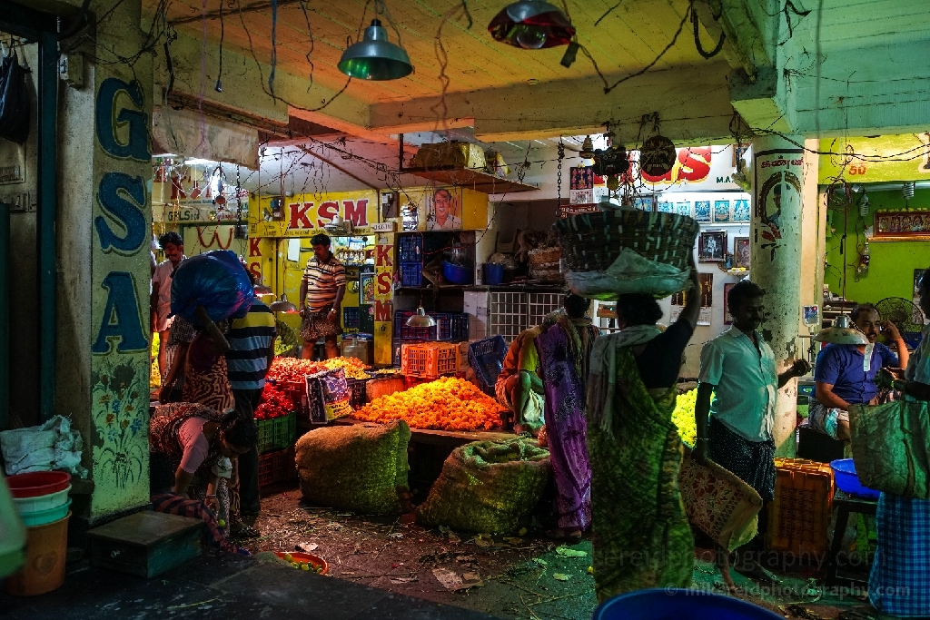 Flower Commerce Koyambedu Market India