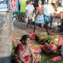 Waiting for Customers Koyambedu Market To order a print please email me at  Mike Reid Photography : India, taj mahal, delhi, sanskriti, red palace, taj, travel, tourist