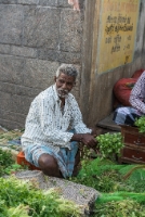 Bunching Cilantro Koyambedu