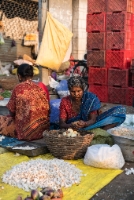 Garlic and Shallots Koyambedu