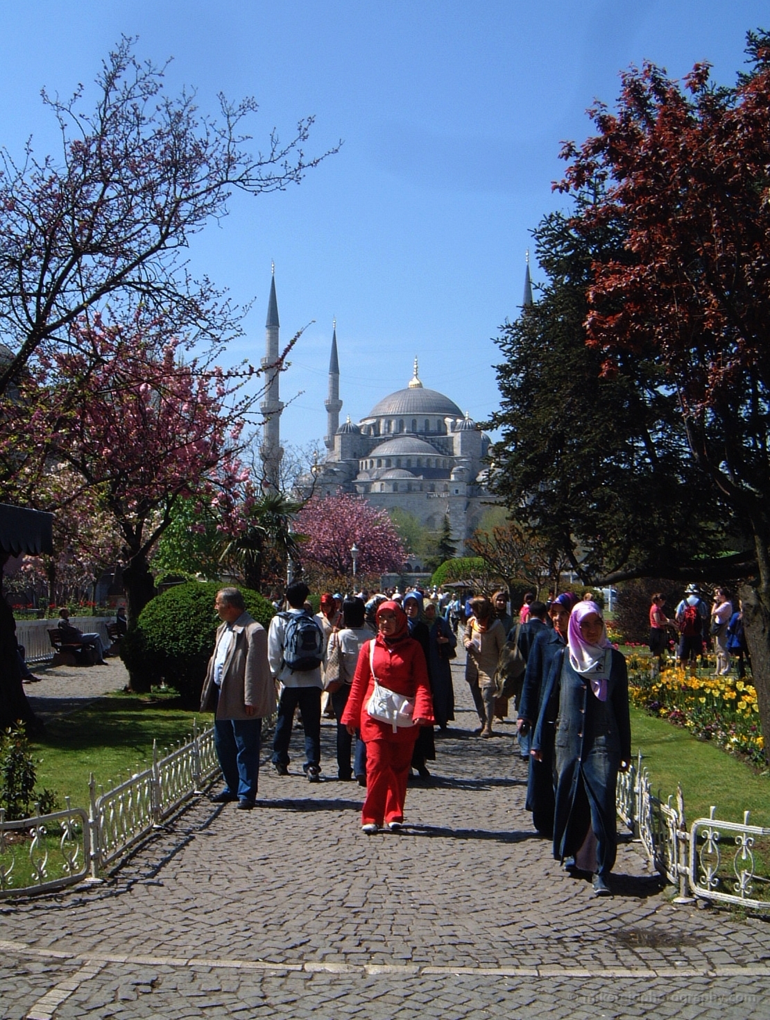 Blue Mosque and Tourists Istanbul