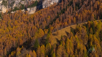Aerial Italian Dolomites Passo Giau Fall Colors.jpg default