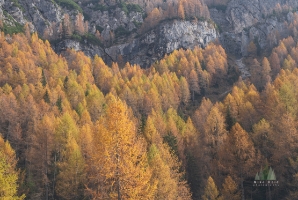Aerial Italian Dolomites Passo Giau Larches GFX100s.jpg