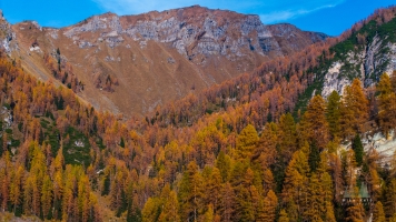 Aerial Italian Dolomites Passo Giau Larches.jpg default