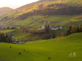 Aerial Italian Dolomites Val di Funes Sunset Meadows.jpg