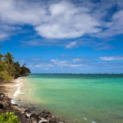 Green Tropical Water To order a print please email me at  Mike Reid Photography : hawaii, waikiki, oahu, big island, tropics, tropical, vacation, hawaiian islands, aloha, canon, sunny
