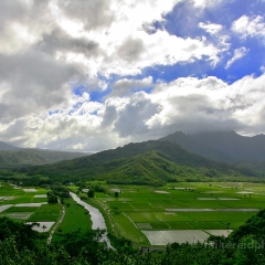 Hanalei Valley Clouds To order a print please email me at  Mike Reid Photography : kauai, hawaii, garden island, hanakapiai, naapali, kalalau, waimea, kilauea