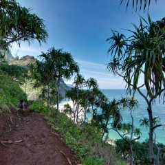 Kalalau Trail Palms To order a print please email me at  Mike Reid Photography : kauai, hawaii, garden island, hanakapiai, naapali, kalalau, waimea, kilauea