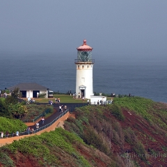 Kilauea Lighthouse.jpg