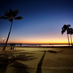 Palm Trees Beach To order a print please email me at  Mike Reid Photography : hawaii, waikiki, oahu, big island, tropics, tropical, vacation, hawaiian islands, aloha, canon, sunny, paradise