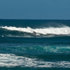 Surfers To order a print please email me at  Mike Reid Photography : hawaii, waikiki, oahu, big island, tropics, tropical, vacation, hawaiian islands, aloha, canon, sunny, paradise