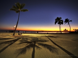 Beach Shadows