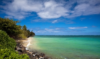 Green Tropical Water