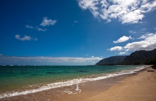 Sunny Oahu