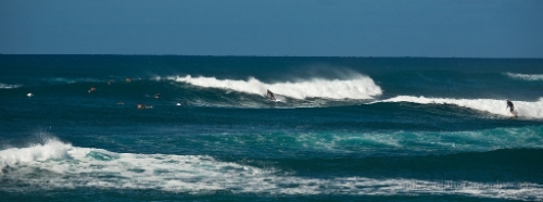 Surfers