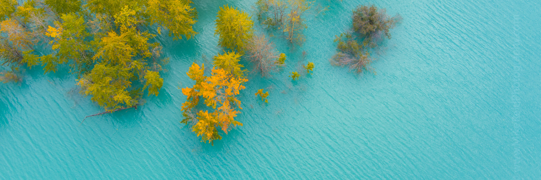 Aerial landscape used as a header for licensing page