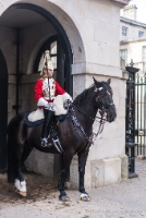 Horse Guard in London