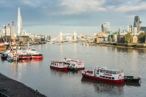 Thames View from the Thames Walk Low Tide