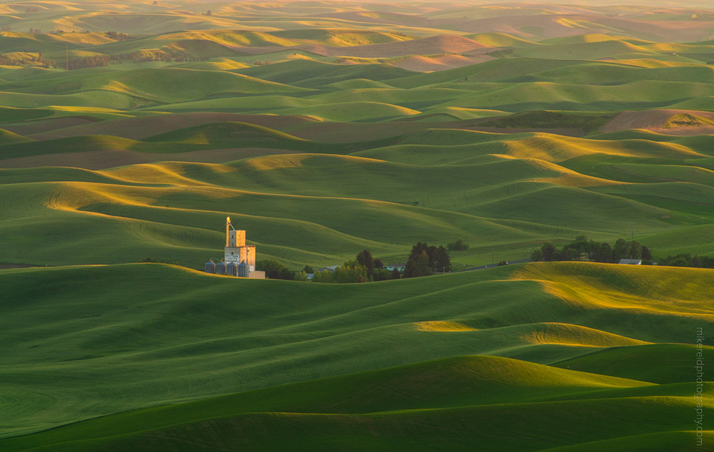 Palouse from Steptoe