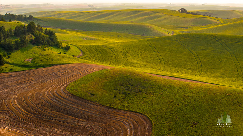 Rolling Hills & Shadows