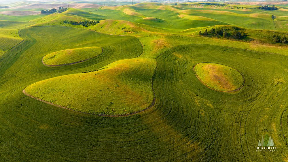 Aerial Abstract Patterns