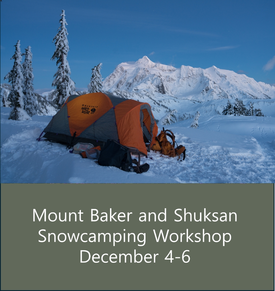 mount baker.jpg