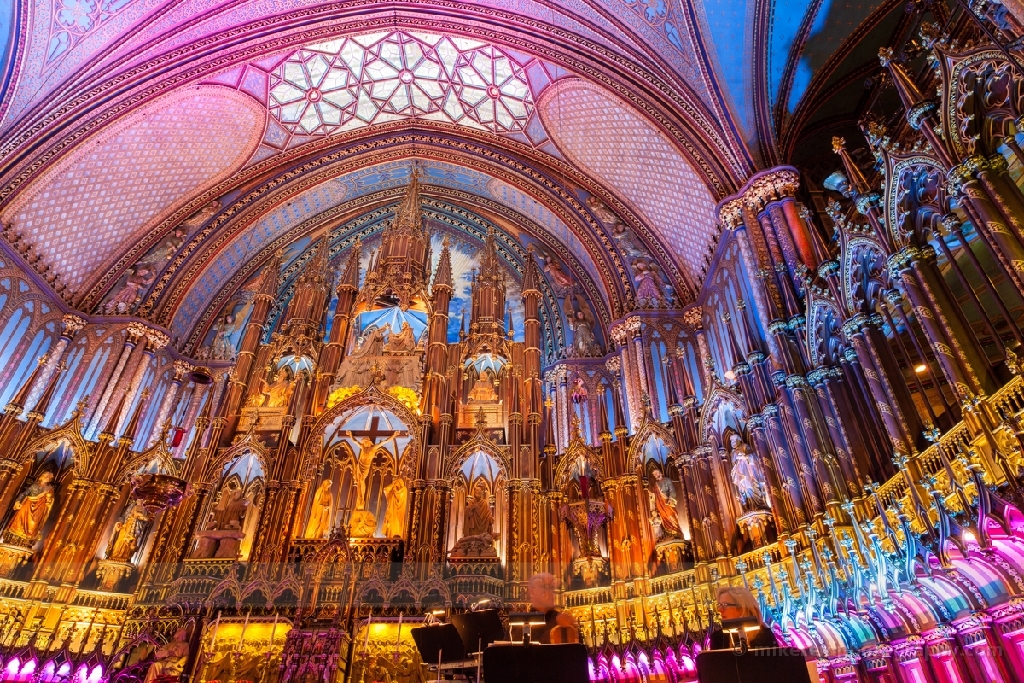 Notre Dame Christmas Colors