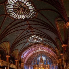 Notre Dame Overhead.jpg