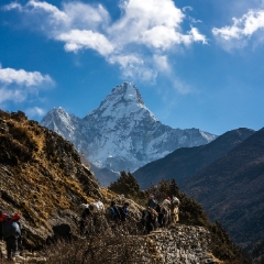 Yak Train Ama Dablam.jpg To order a print please email me at  Mike Reid Photography : nepal, everest, himalayas, mountains, kathmandu, peaks, trave, l, travel photography, glaciers, mount everest, lhotse, ama dablam