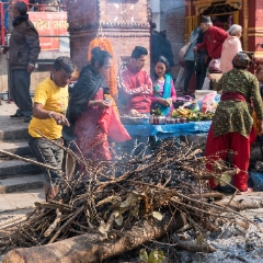 Dog Stays Warm by the Festival Fire To order a print please email me at  Mike Reid Photography : nepal, everest, himalayas, mountains, kathmandu, peaks, trave, l, travel photography, glaciers, mount everest, lhotse, ama dablam, nepali, street photography, sadhu, hindu