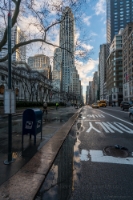 New York Library View