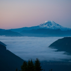 Mount Adams Above the Fog To order a print please email me at  Mike Reid Photography : adams, mount adams, rainier, mount rainier, rainier national park, washington state, northwest photography, northwest images, wildflowers, mountain, volcano, lake tipsoo, reflection lakes, sunset, sunrise, lupine