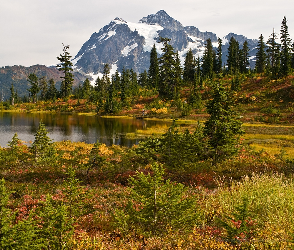 shuksan fall colors scene photo 