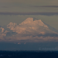 Mount Baker Photography Dawn Light from Seattle To order a print please email me at  Mike Reid Photography : shuksan, baker, mount baker, mount shuksan, washington, washington state, northwest, northwest images, aerial photograpy, northwest photography, washington state photography, nature, sunset, sunrise, reid