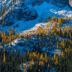 North Cascades Peaks and Larches To order a print please email me at  Mike Reid Photography : diablo lake, shuksan, baker, mount baker, mount shuksan, washington, washington state, northwest, northwest images, northwest photography, washington state photography, nature, sunset, sunrise, reid, blue lake, larches
