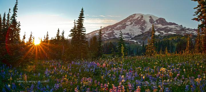 Mazama Ridge Sunset Beauty 