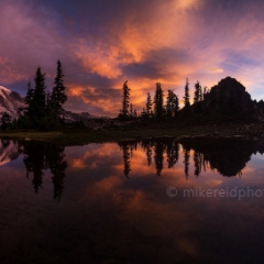 Mount Rainier Darker Sunrise Reflection.jpg